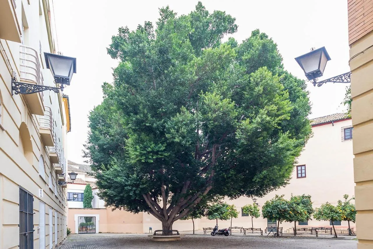 Alohamundi Escuelas Pias Sevilla Španělsko